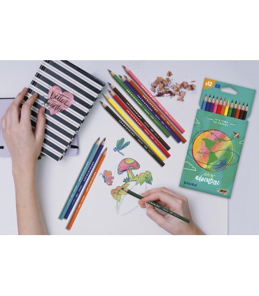 SET DE CRAYONS DE COULEURS BIC® Kids Evolution® - 1608